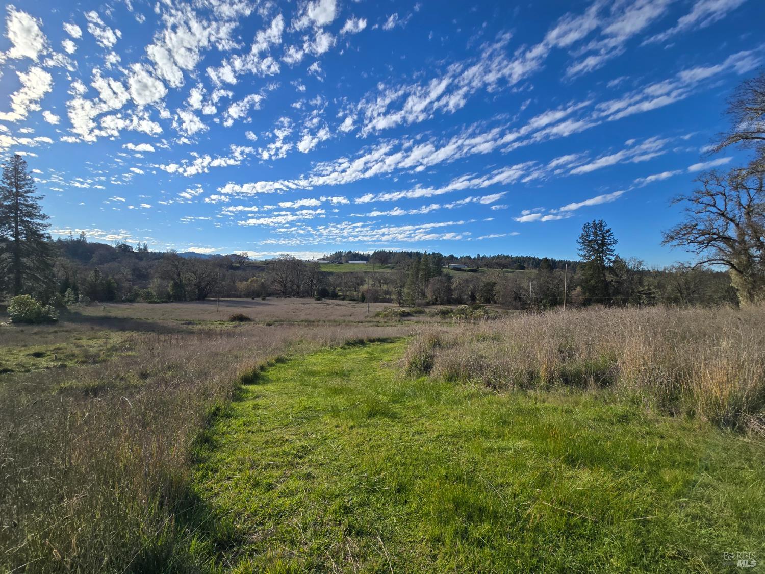 a view of lake with green field