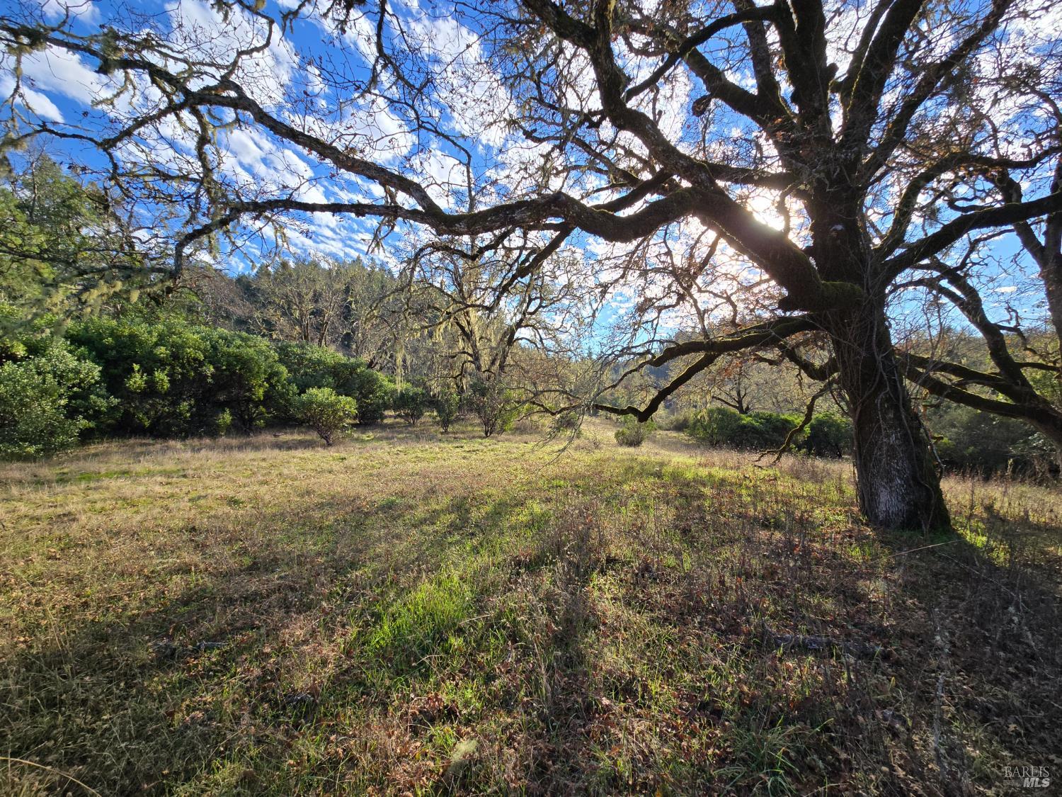 0 Ridgewood Road Willits, CA 95490 - Photo 11 of 16 a view of yard with green space
