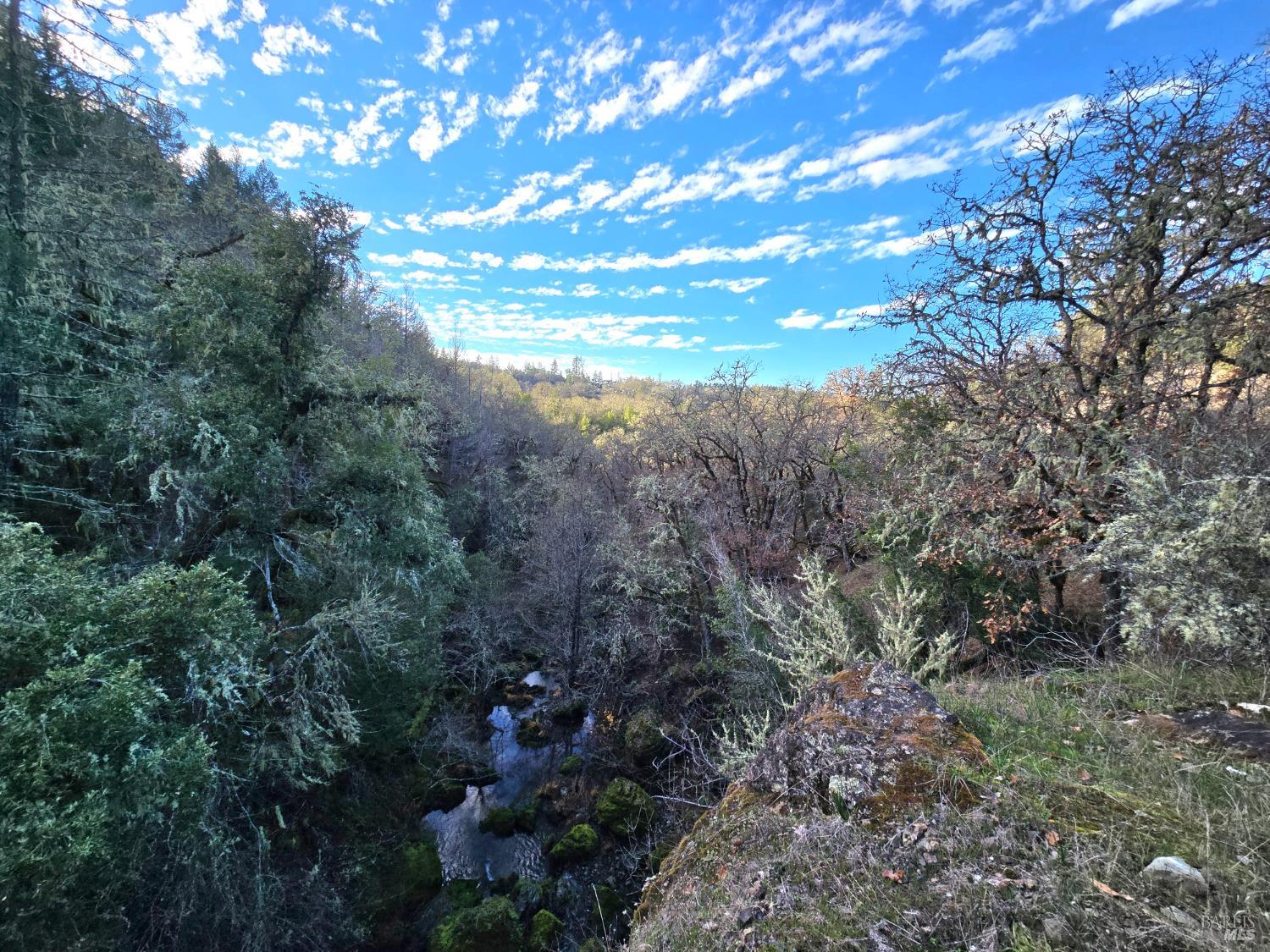 0 Ridgewood Road Willits, CA 95490 - Photo 12 of 16 a view of a tree in a yard