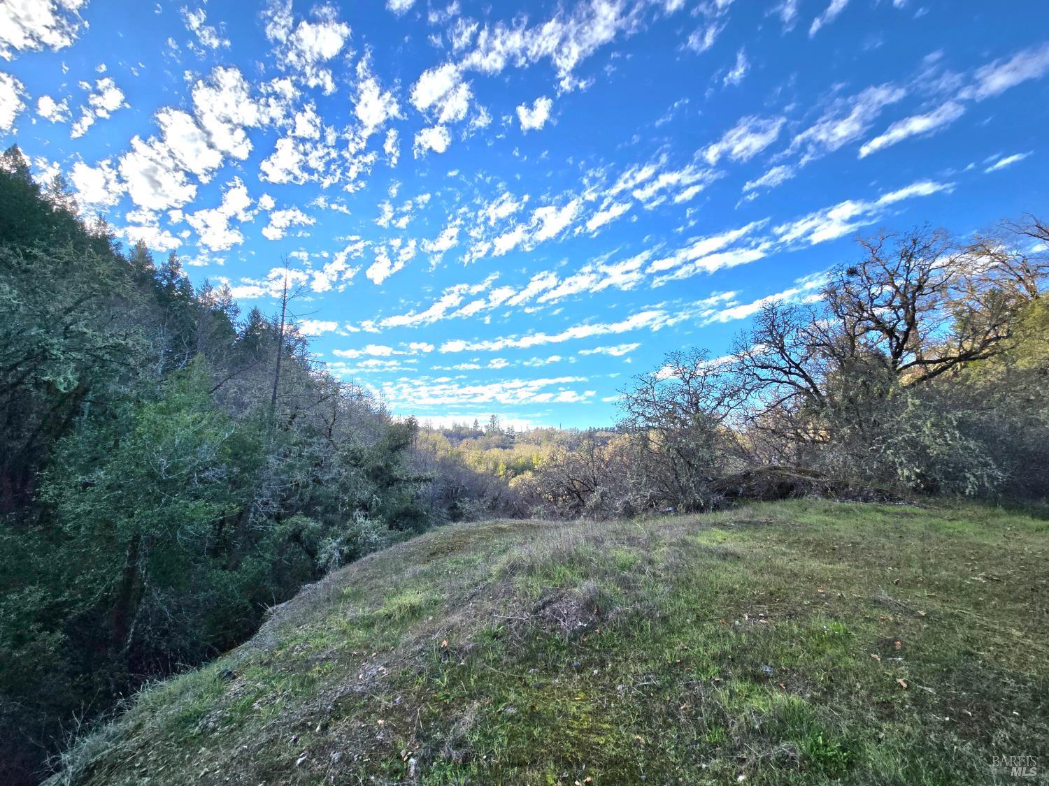 0 Ridgewood Road Willits, CA 95490 - Photo 14 of 16 a big yard with lots of green space and mountain view