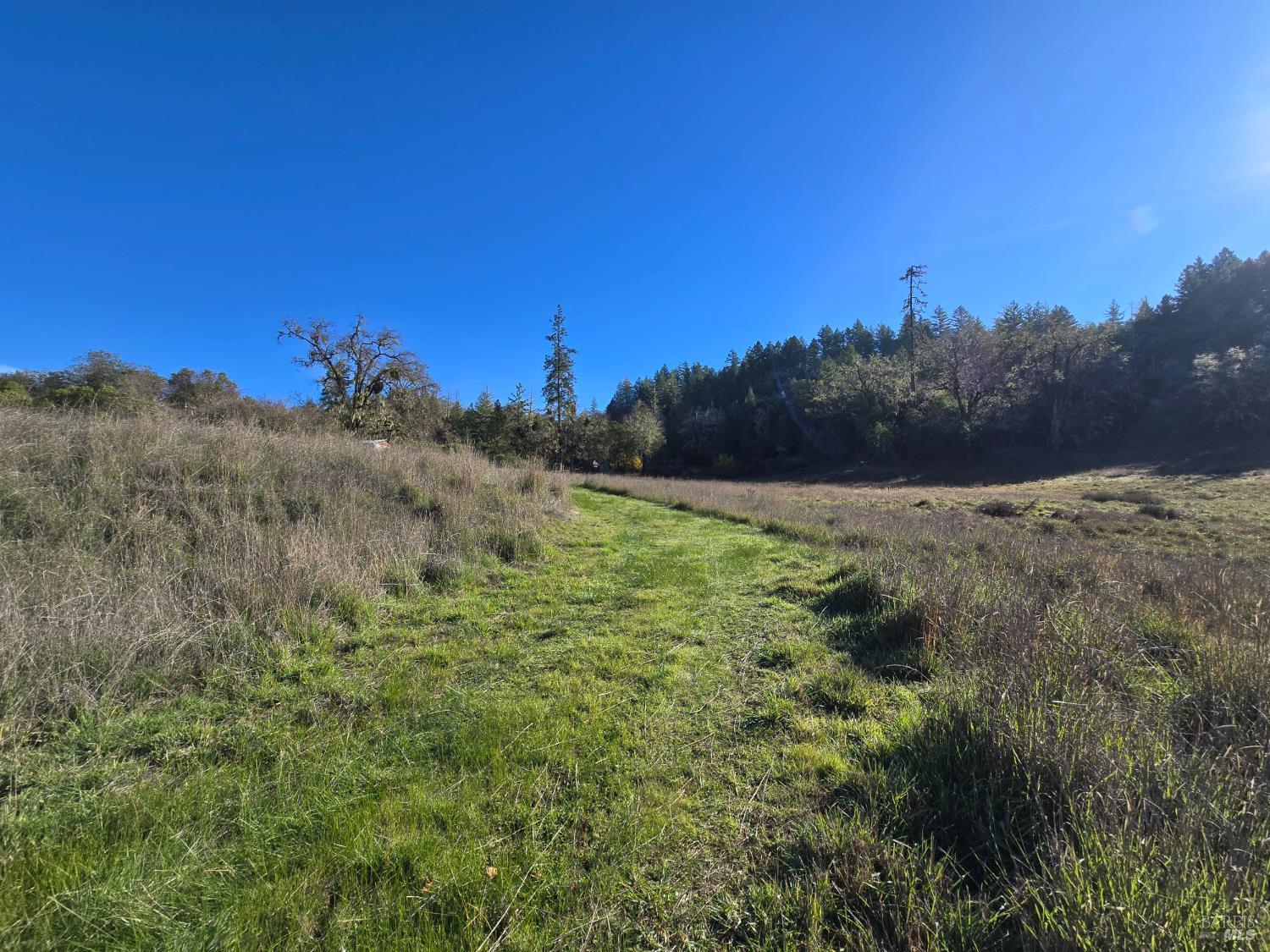 0 Ridgewood Road Willits, CA 95490 - Photo 4 of 16 a view of a lush green space with sea