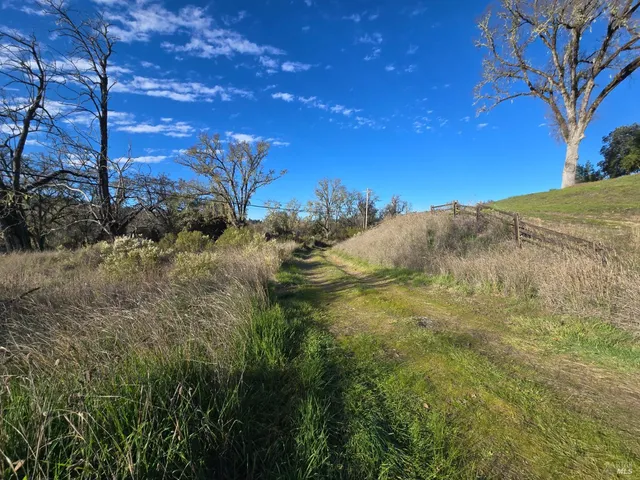 a view of outdoor space and yard