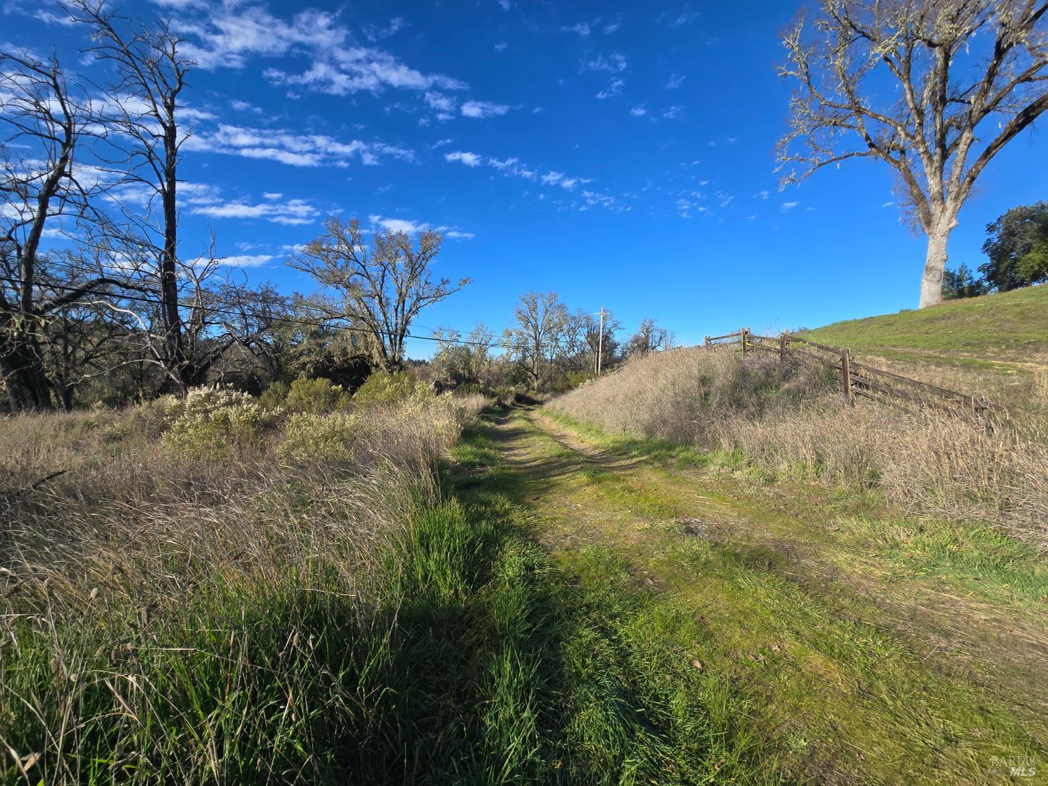 0 Ridgewood Road Willits, CA 95490 - Photo 5 of 16 a view of a field with a tree