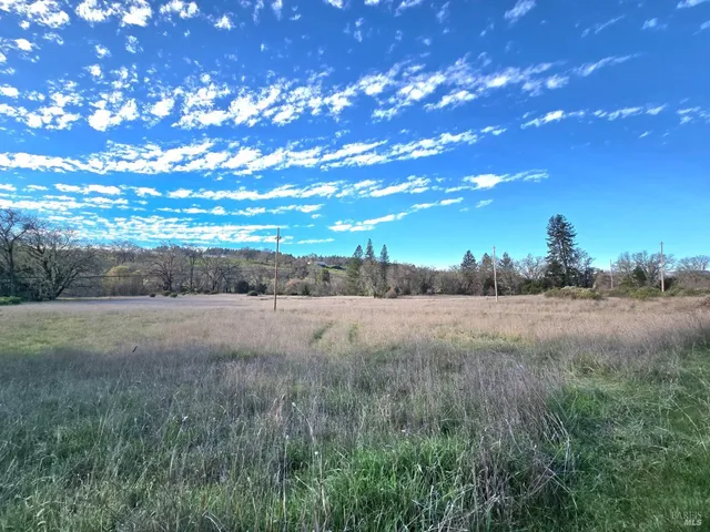 a view of dirt yard with a tree