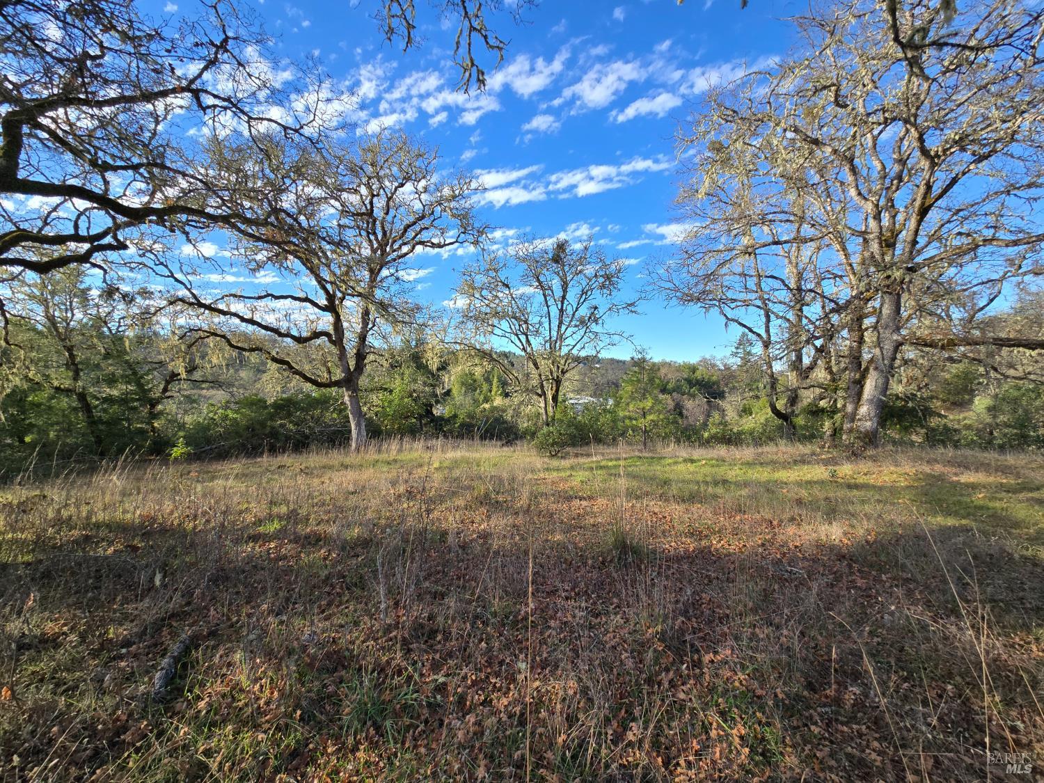 0 Ridgewood Road Willits, CA 95490 - Photo 9 of 16 a view of dirt yard with a tree