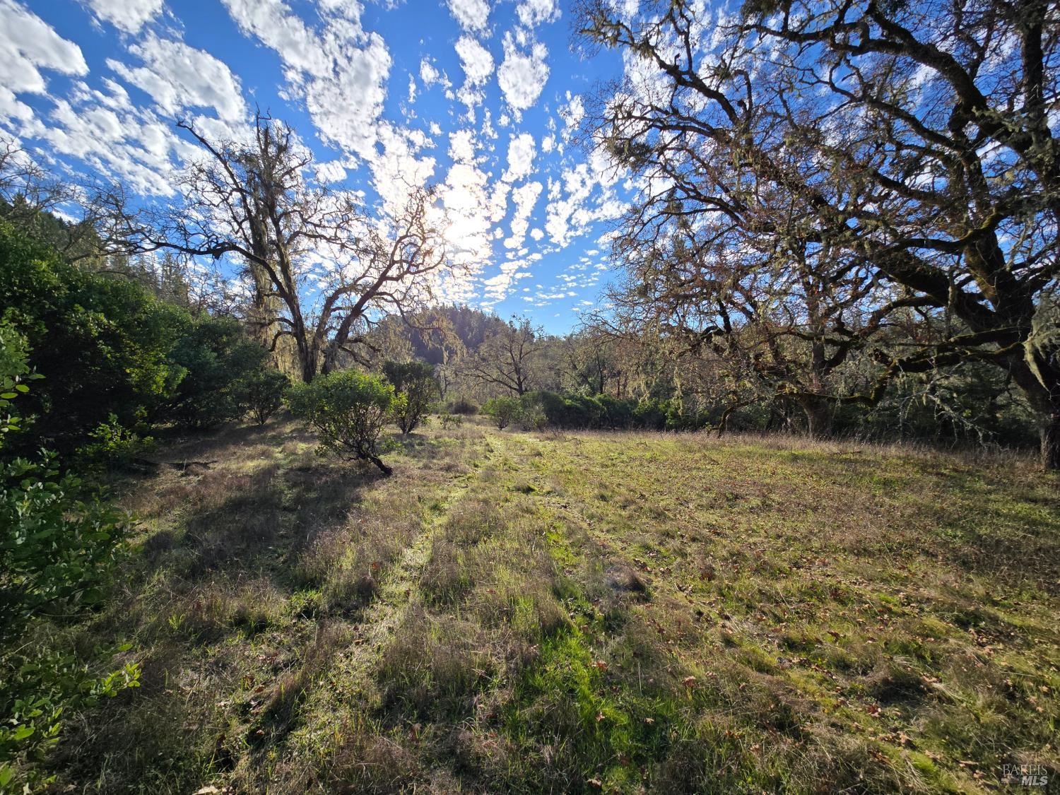 0 Ridgewood Road Willits, CA 95490 - Photo 10 of 16 a view of outdoor space and yard
