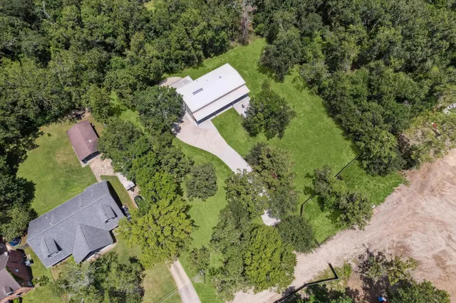 a picture of a tree in a yard