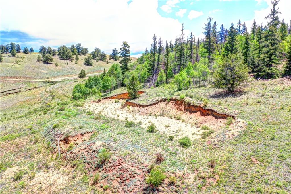 841 Lippzana Road Como, CO 80456 - Photo 2 of 10 a view of a yard with a tree
