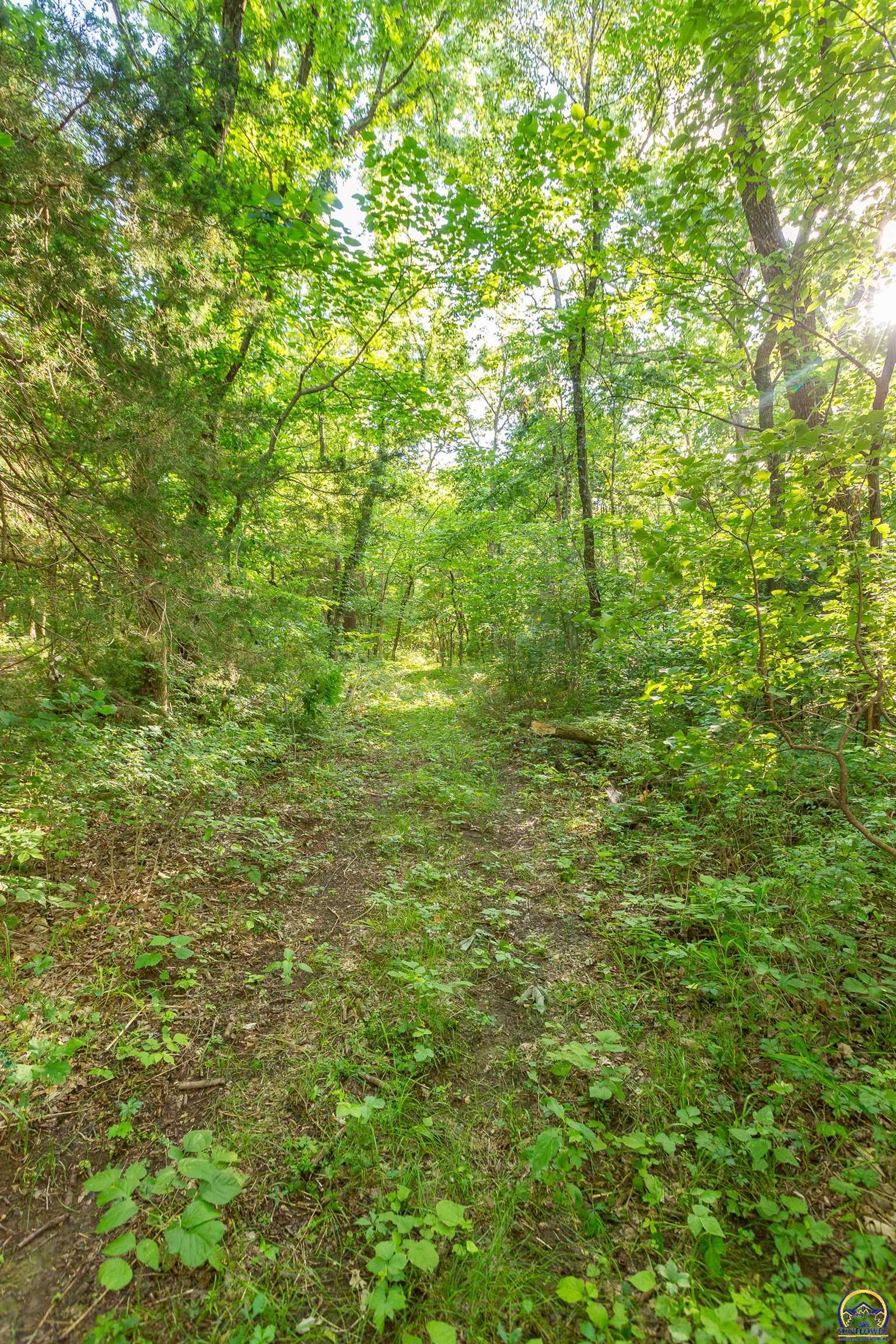 1757 Buck Creek Road Perry, KS 66073 - Photo 68 of 90