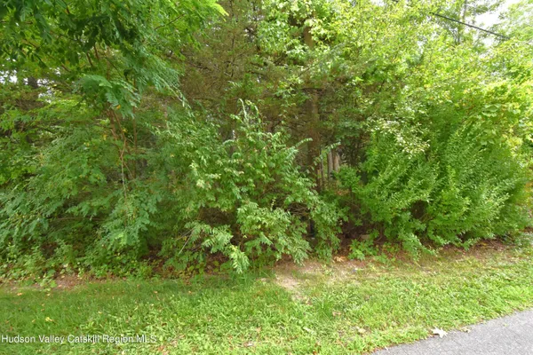 a view of a yard