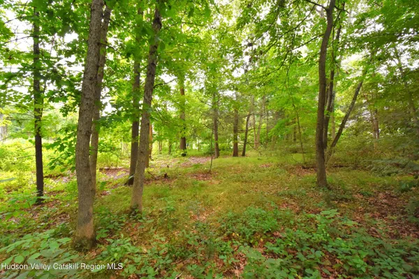 a view of outdoor space with trees all around