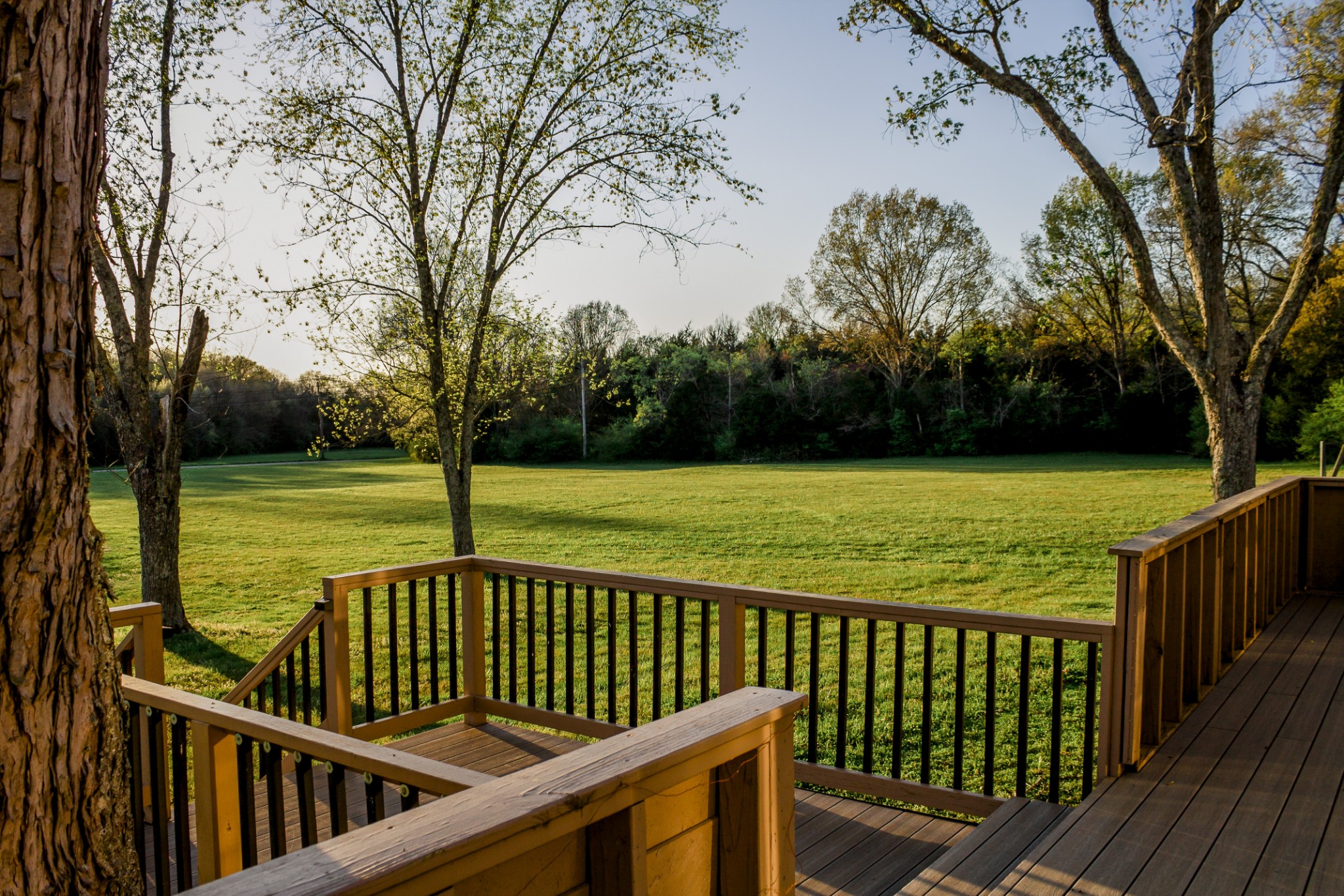 5820 Cane Ridge Road Antioch, TN 37013 - Photo 3 of 30 a view of a deck with a large trees