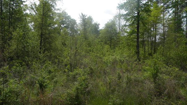 760 Hamilton Road Grovetown, GA 30813 - Photo 1 of 1 Main View