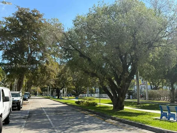 a view of a park with large trees