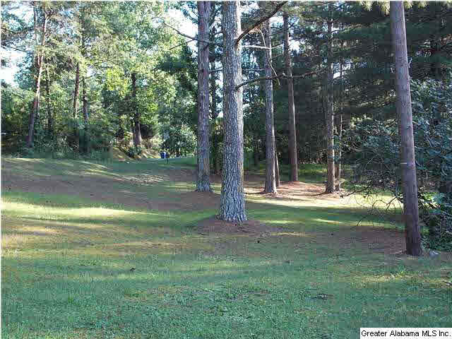 550 Patton Road Oneonta, AL 35121 - Photo 25 of 31