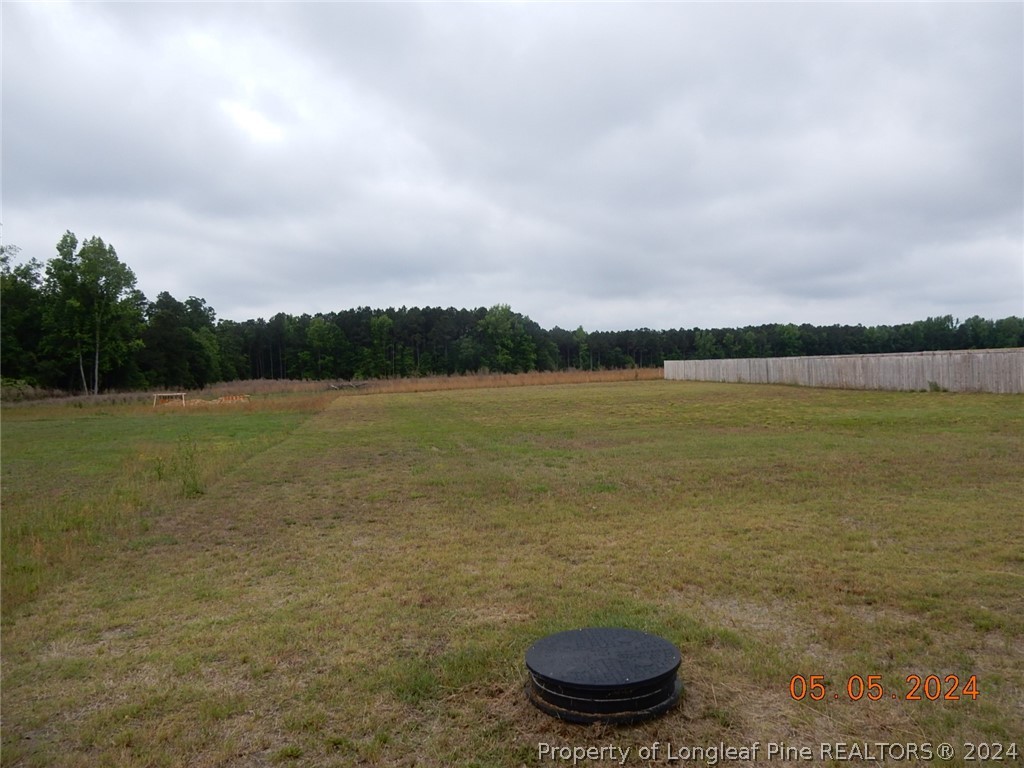 1256 Hayes Road Spring Lake, NC 28390 - Photo 3 of 23 Gallery Image 3
