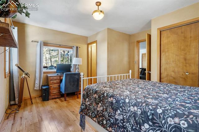 5830 Uneda Road Cascade, CO 80809 - Photo 20 of 25
