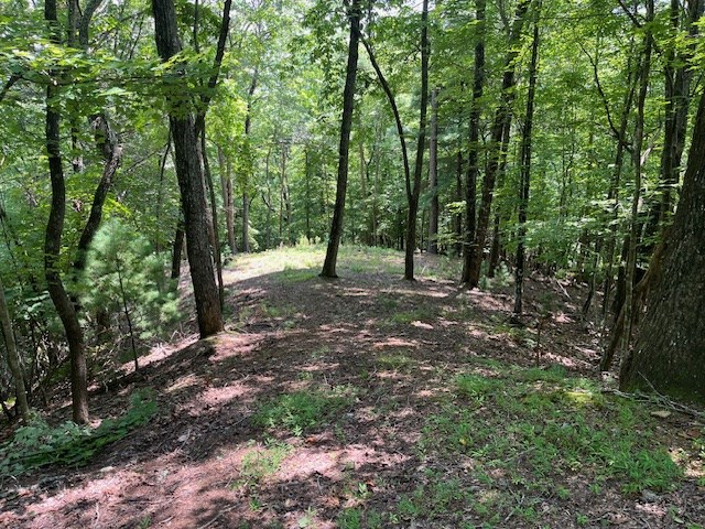 Lot 11 Laurel Mountain Road Brasstown, NC 28902 - Photo 2 of 11 a view of outdoor space and trees