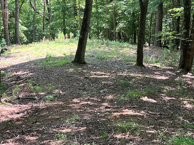 Lot 11 Laurel Mountain Road Brasstown, NC 28902 - Photo 3 of 11 a view of outdoor space and trees