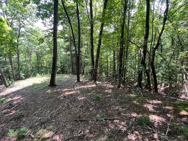 Lot 11 Laurel Mountain Road Brasstown, NC 28902 - Photo 6 of 11 a view of outdoor space and trees