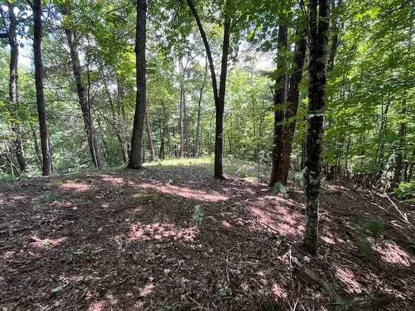 $29,000 | Lot 11 Laurel Mountain Road, Brasstown, NC 28902