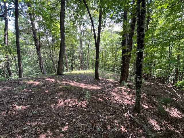 Lot 11 Laurel Mountain Road Brasstown, NC 28902 - Photo 7 of 11 a view of outdoor space and green space