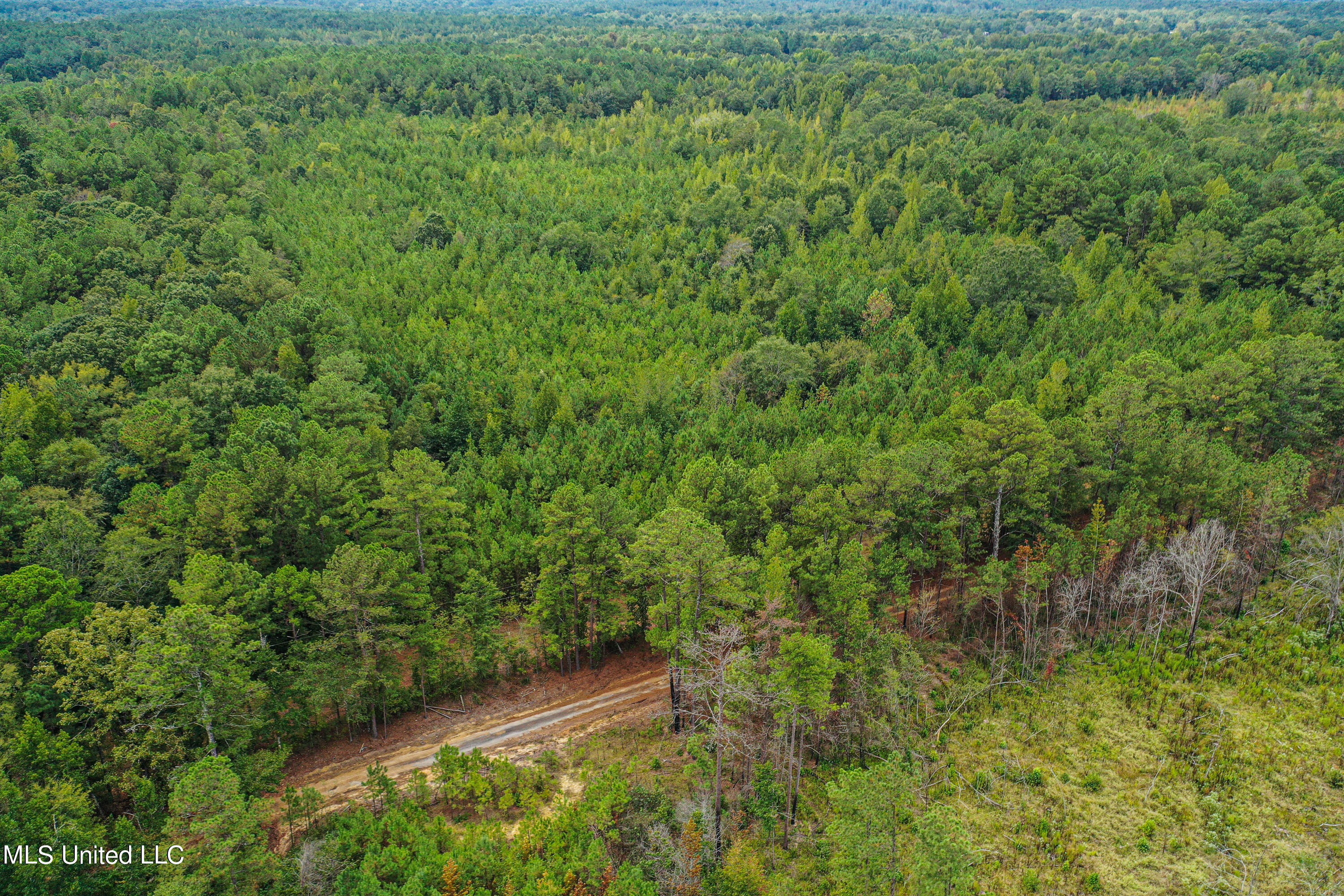 Harvey Road Carthage, MS 39051 - Photo 1 of 22 DJI_0118
