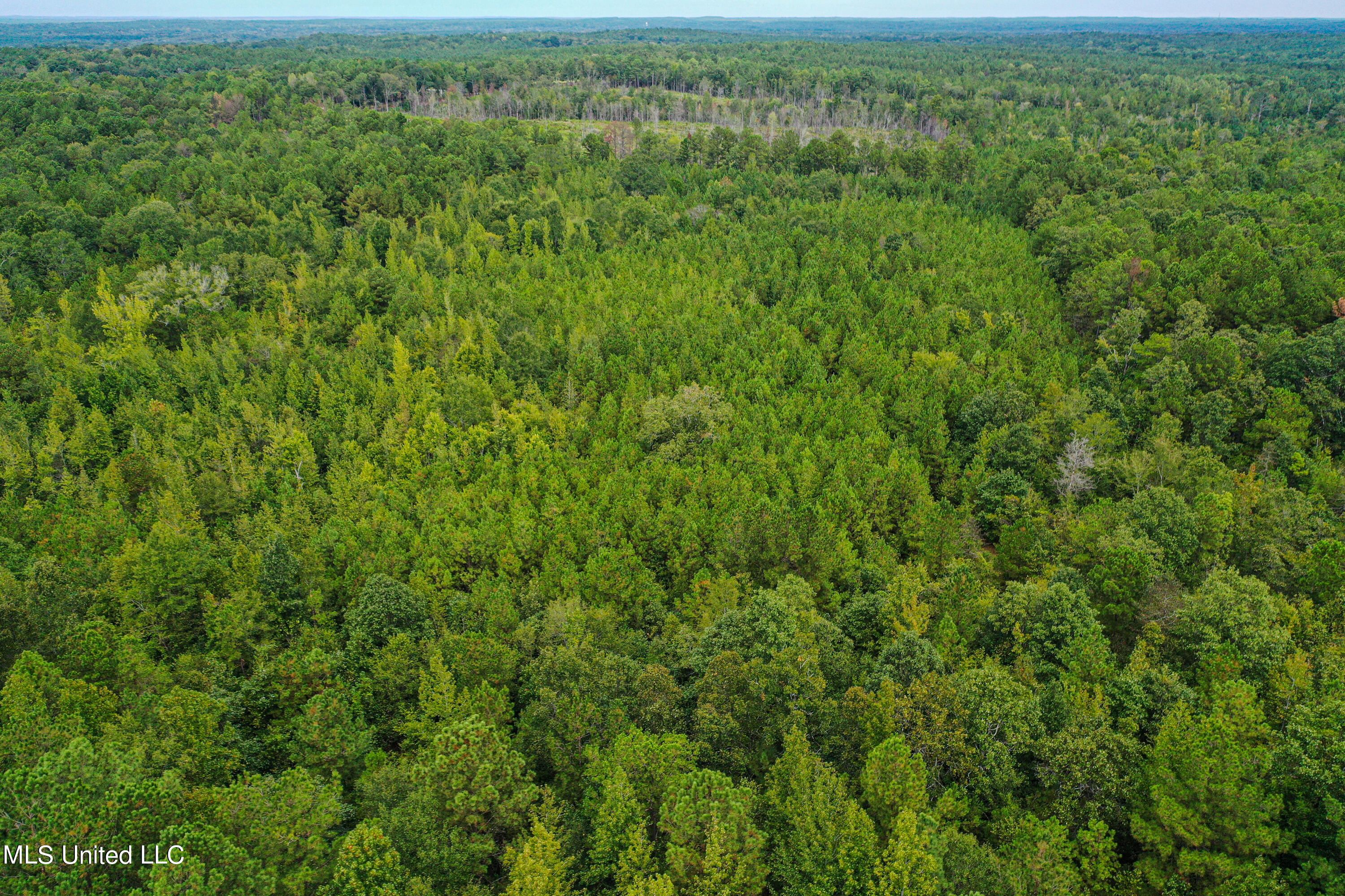 Harvey Road Carthage, MS 39051 - Photo 11 of 22 DJI_0121