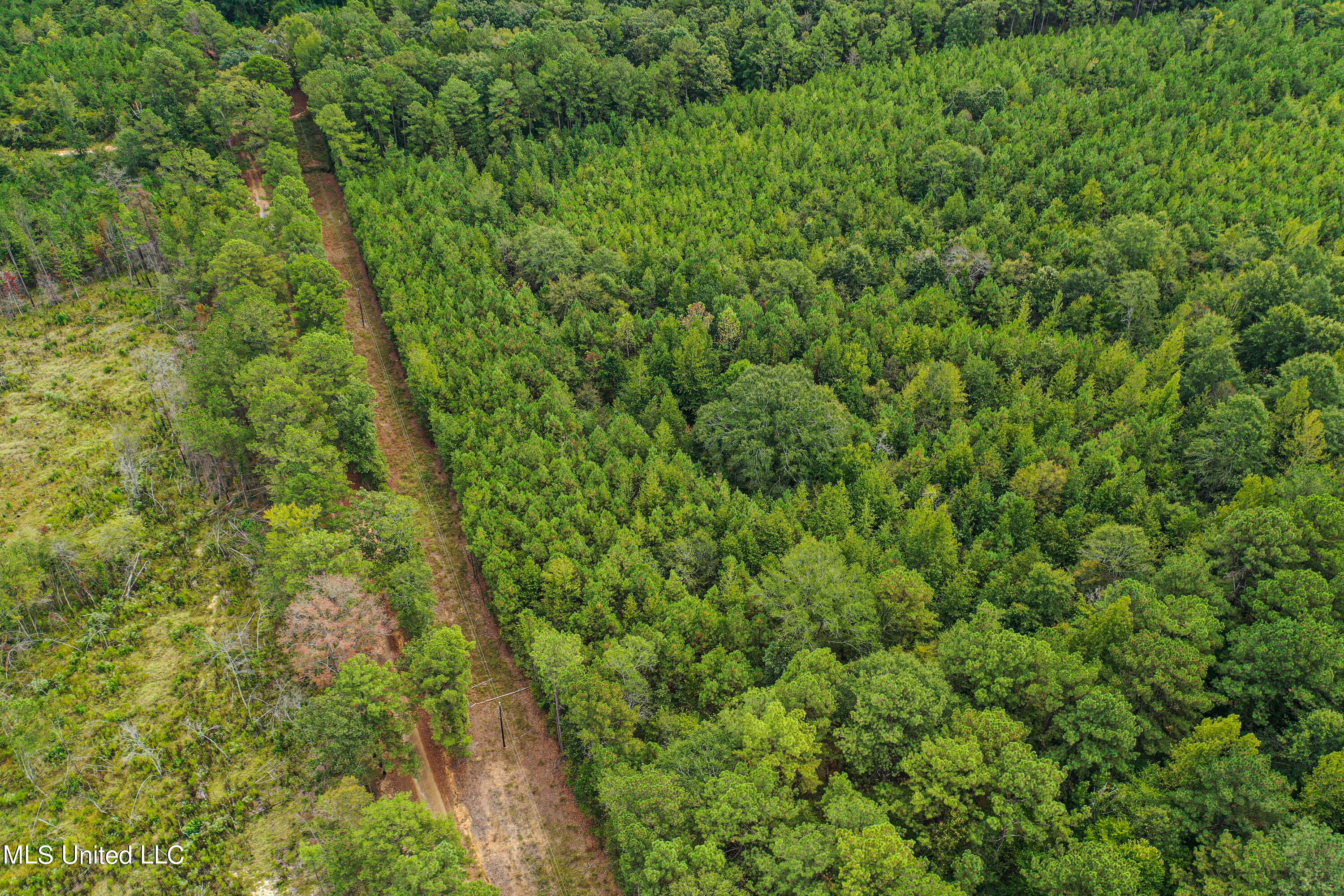 Harvey Road Carthage, MS 39051 - Photo 17 of 22 DJI_0129