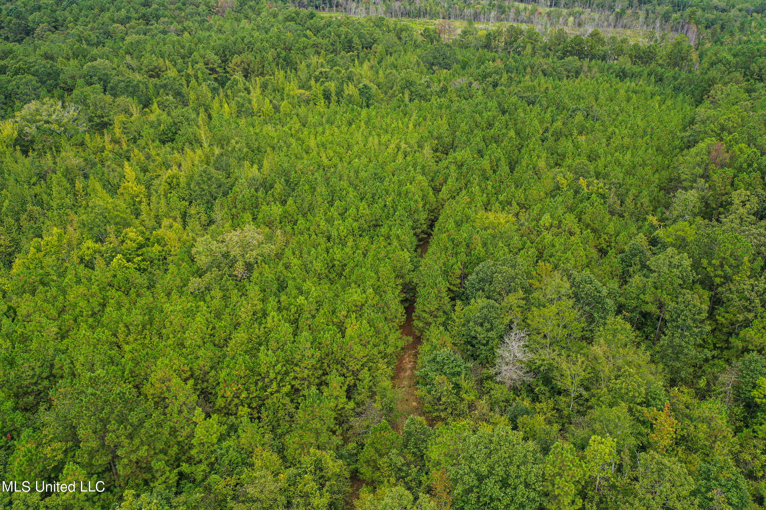 Harvey Road Carthage, MS 39051 - Photo 18 of 22 DJI_0122