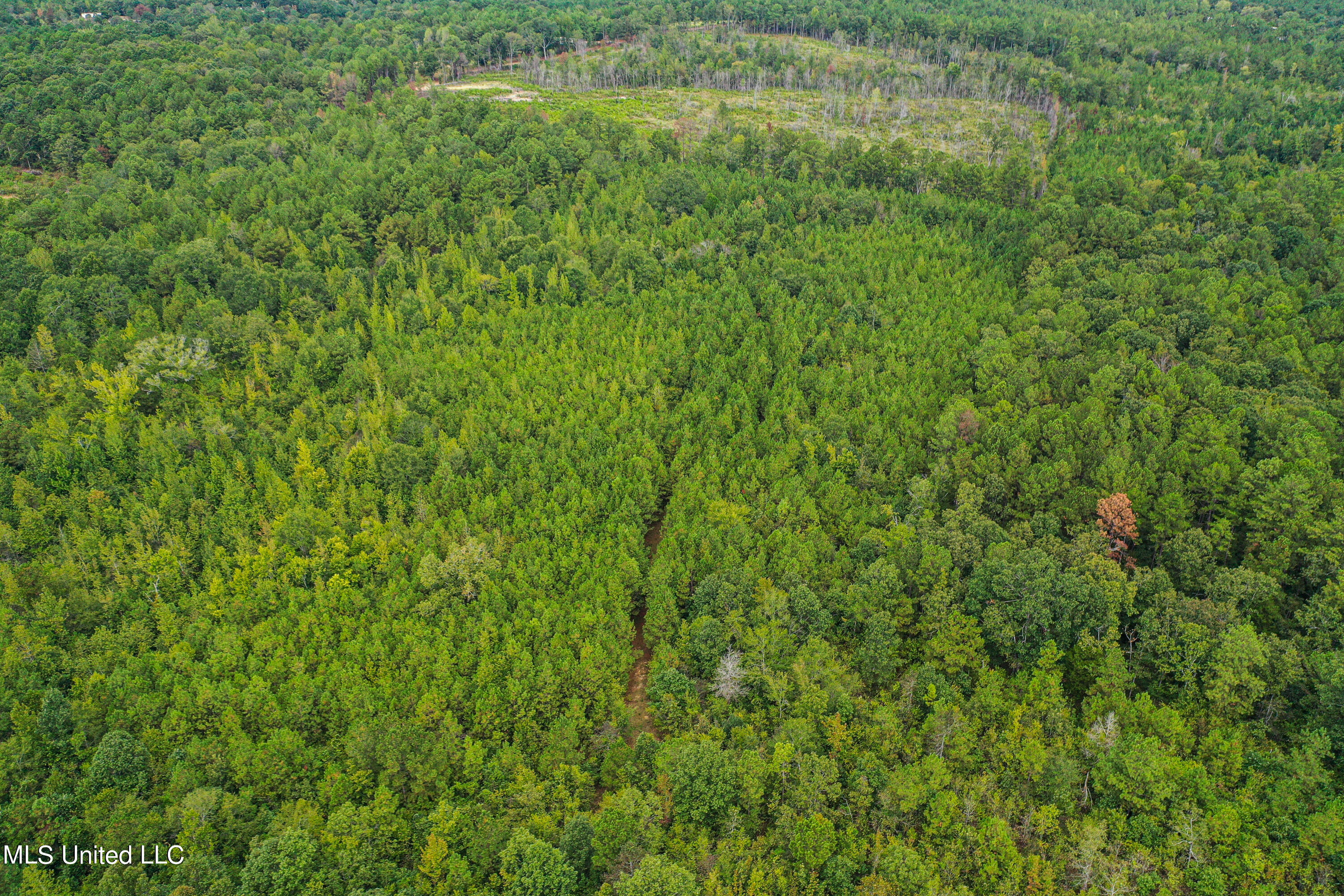 Harvey Road Carthage, MS 39051 - Photo 19 of 22 DJI_0123