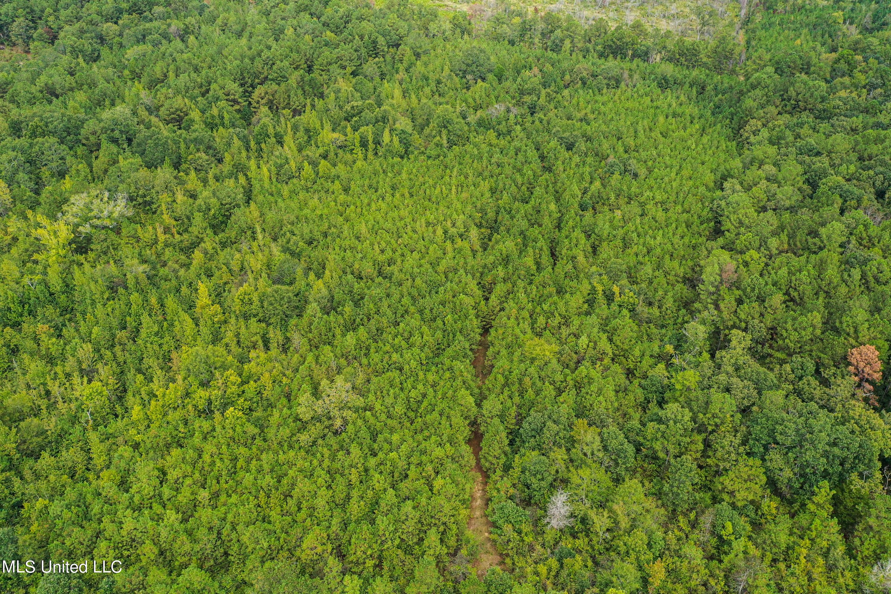 Harvey Road Carthage, MS 39051 - Photo 20 of 22 DJI_0125