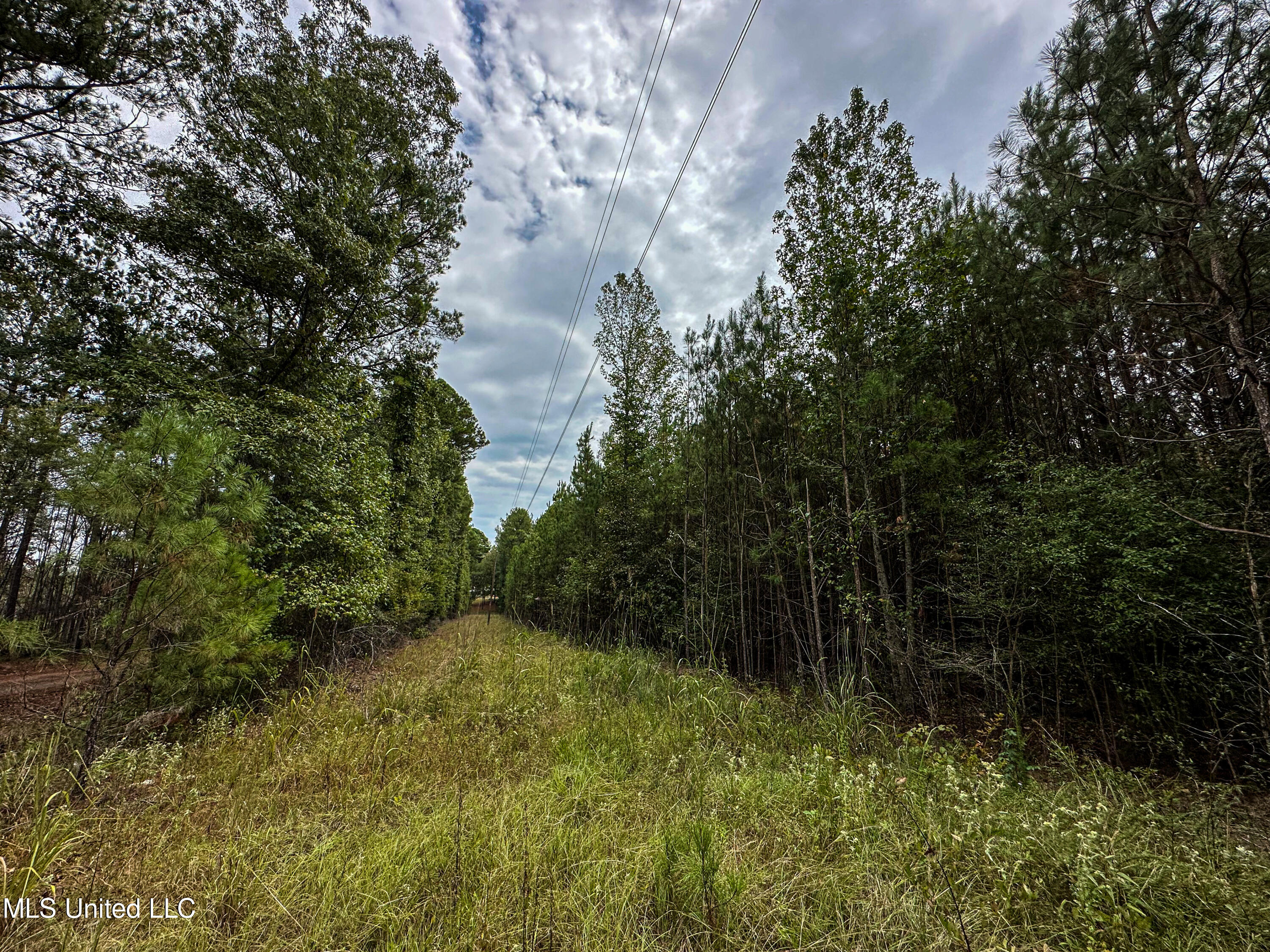 Harvey Road Carthage, MS 39051 - Photo 2 of 22 IMG_4199