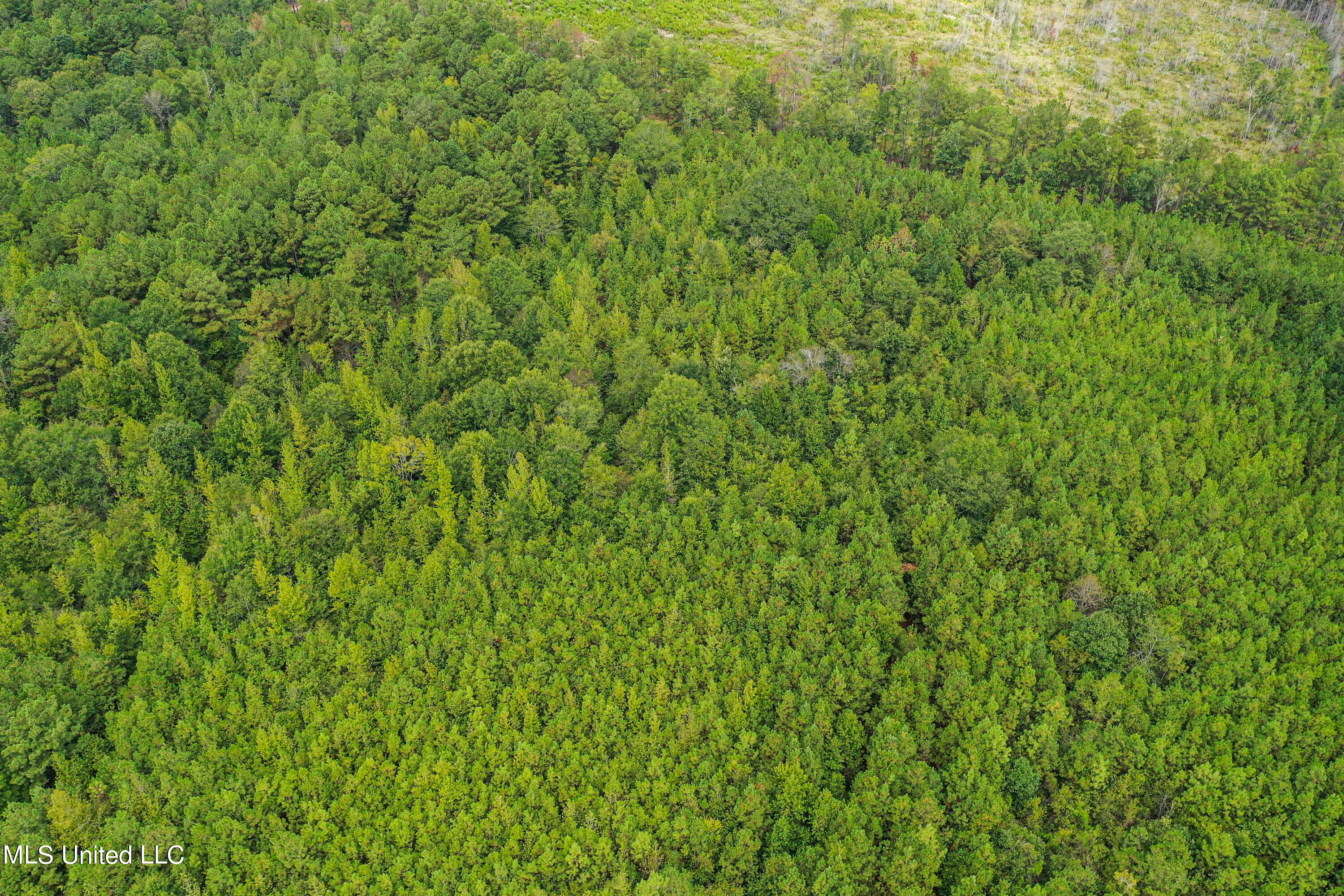 Harvey Road Carthage, MS 39051 - Photo 21 of 22 DJI_0126