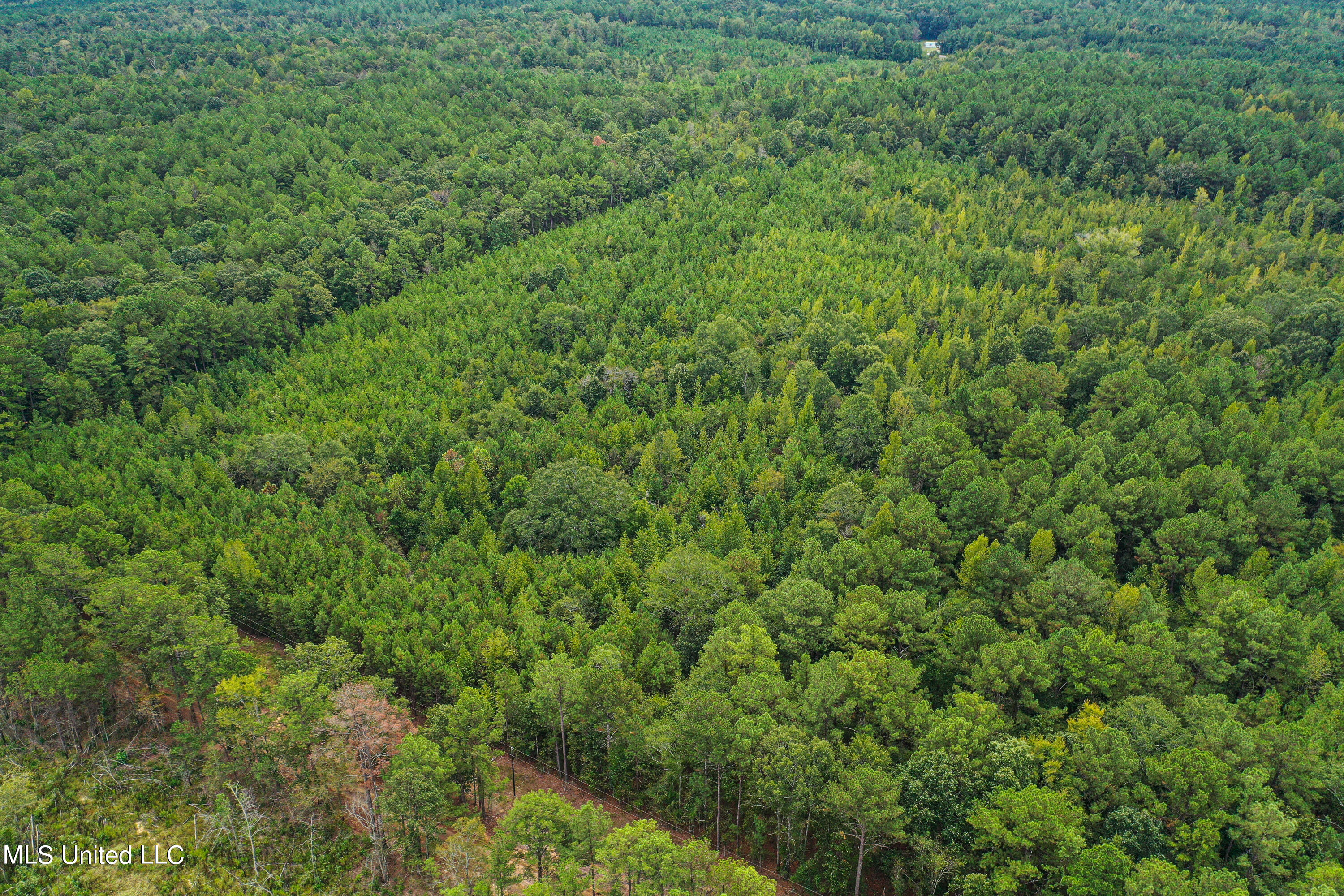Harvey Road Carthage, MS 39051 - Photo 22 of 22 DJI_0130