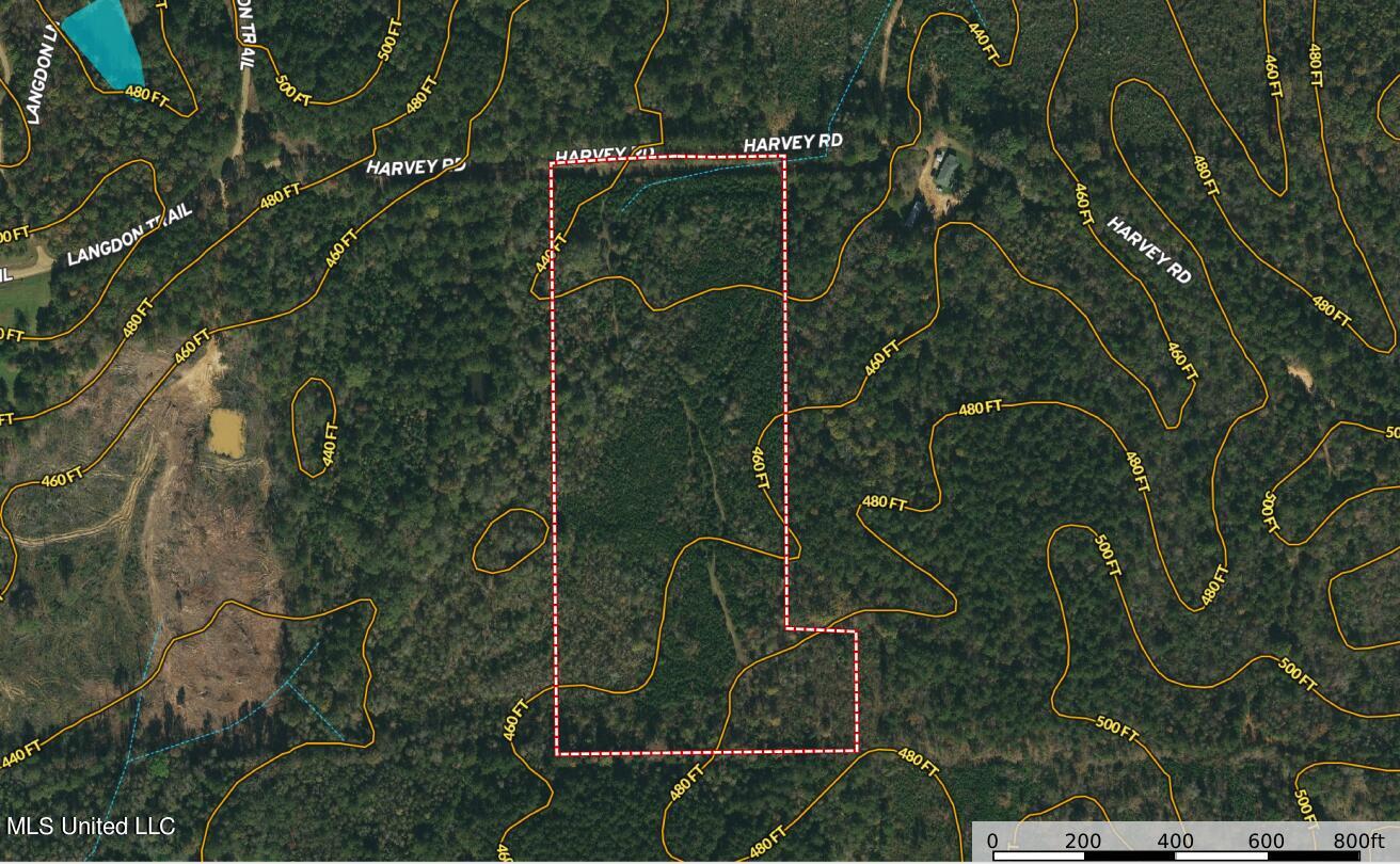 Harvey Road Carthage, MS 39051 - Photo 3 of 22 Screenshot 2023-11-03 211517