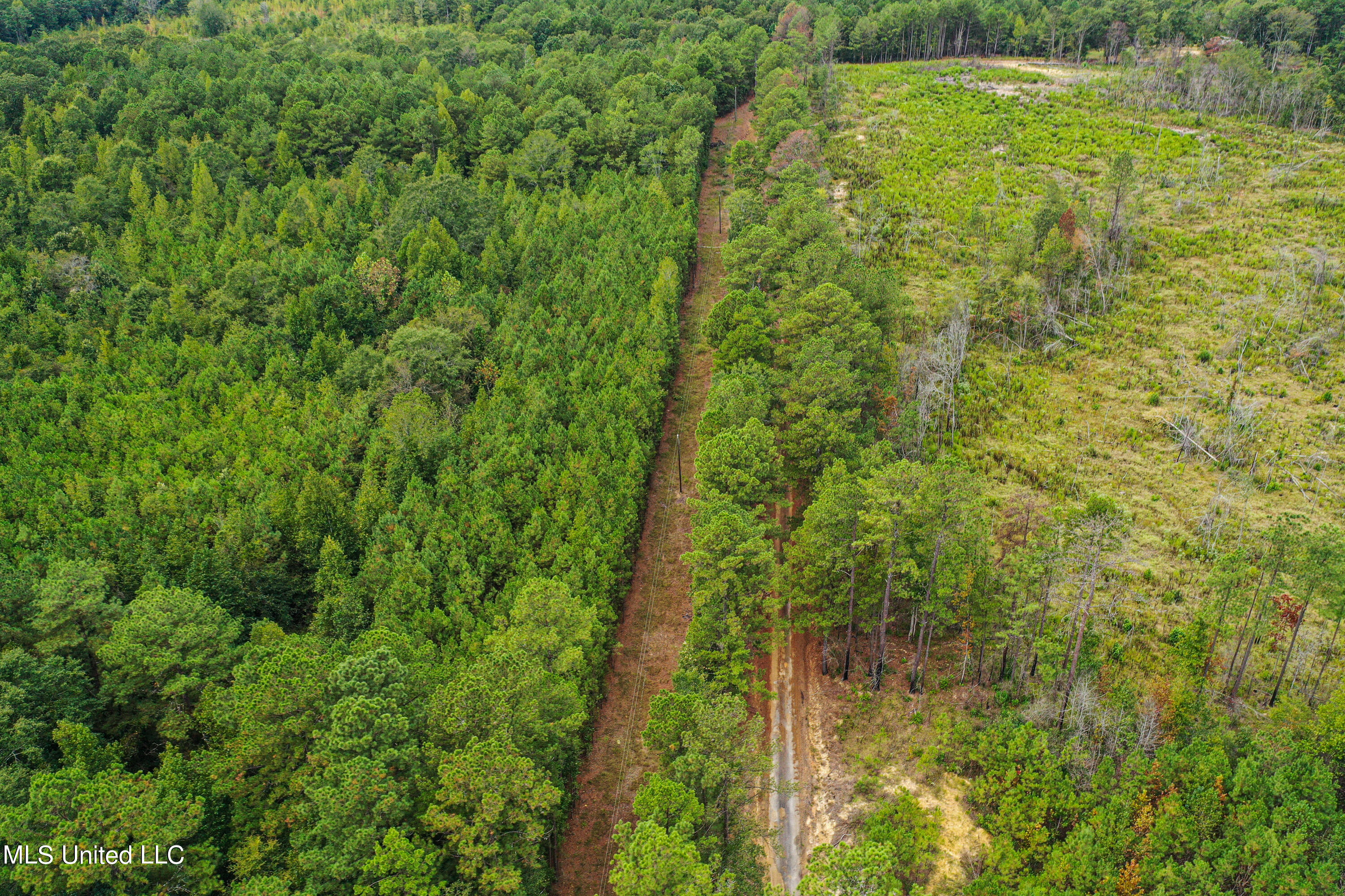 Harvey Road Carthage, MS 39051 - Photo 4 of 22 DJI_0119