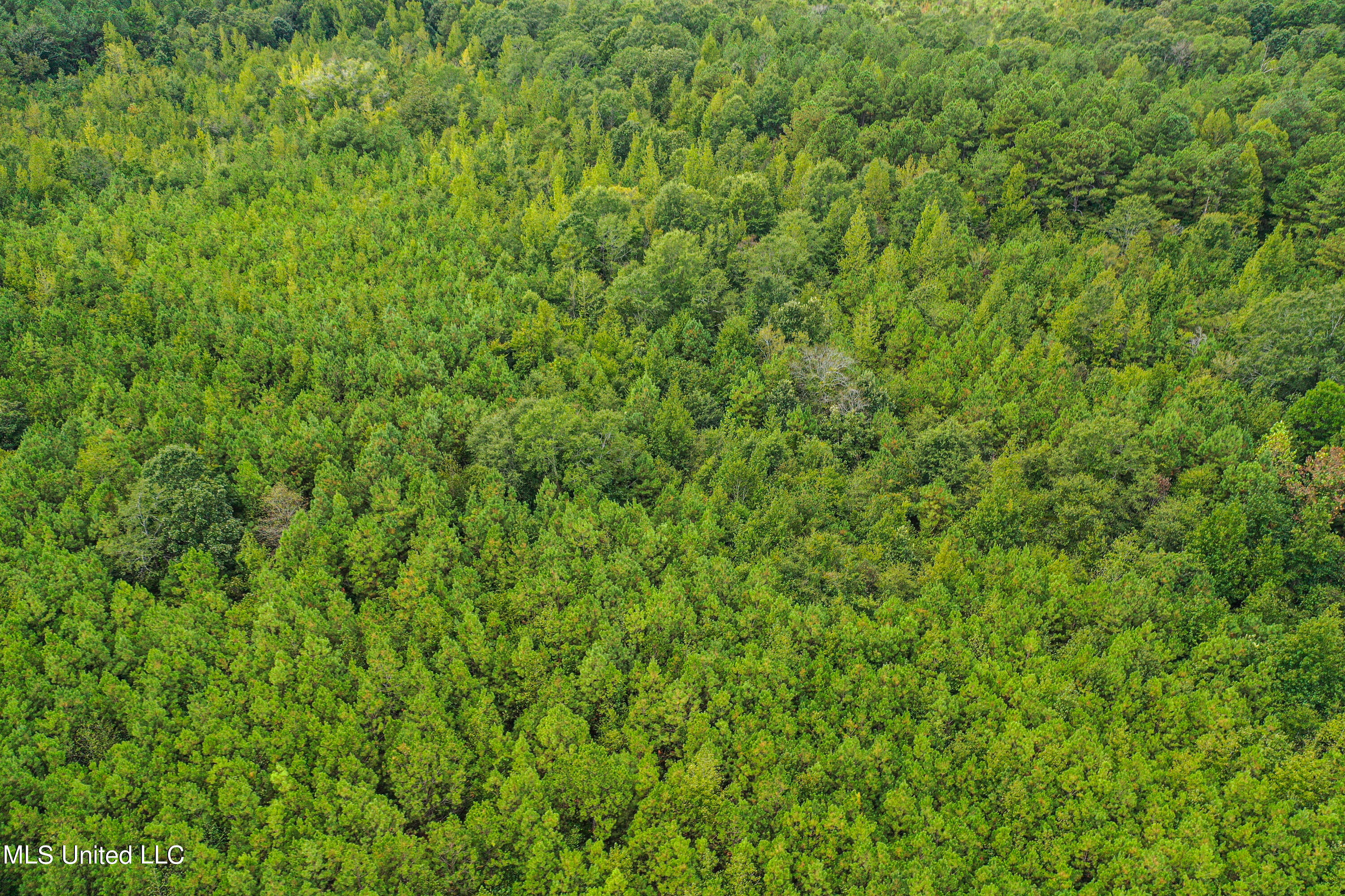 Harvey Road Carthage, MS 39051 - Photo 7 of 22 DJI_0120