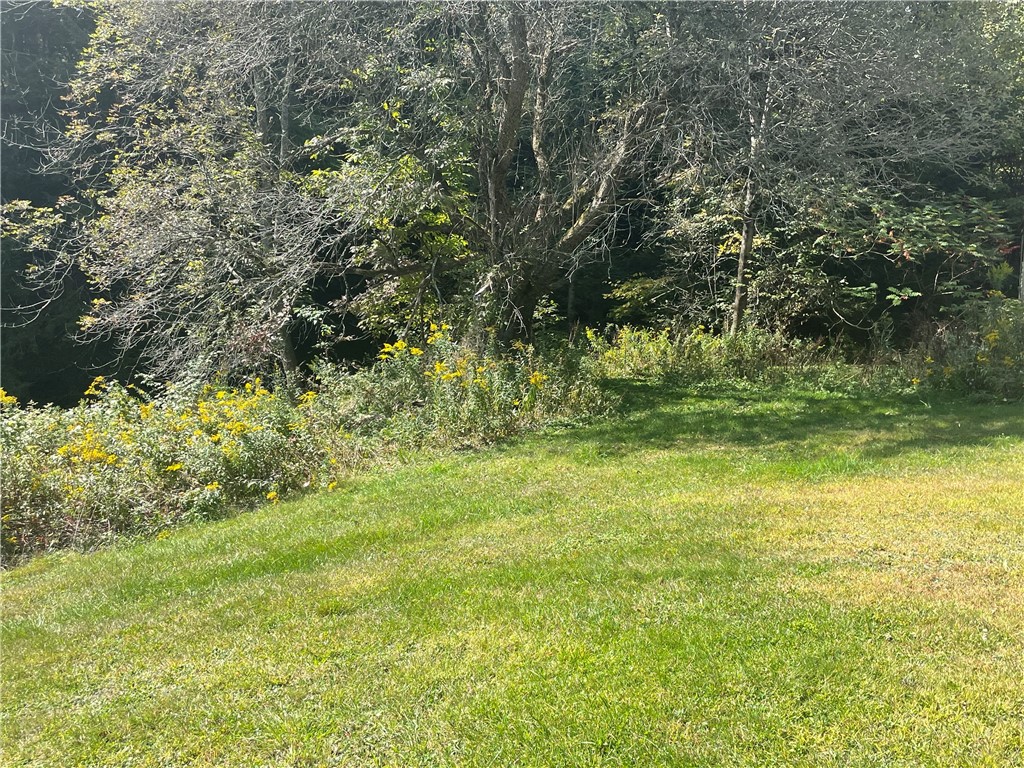 301 Mill Creek Road Otego, NY 13825 - Photo 7 of 7