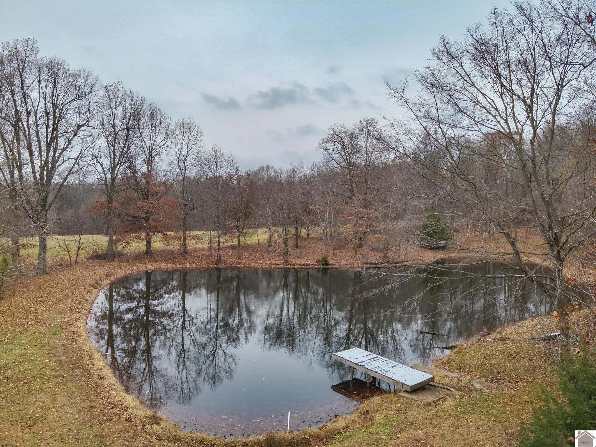 4182 Blandville Road Wickliffe, KY 42087 - Photo 8 of 47 Pond