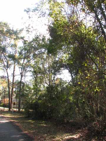 0 High Grove Road Tallahassee, FL 32309 - Photo 3 of 10 Gallery Image 3