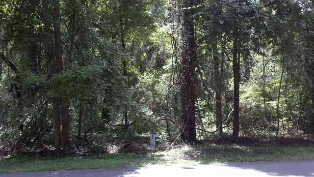 0 High Grove Road Tallahassee, FL 32309 - Photo 6 of 10 Gallery Image 6