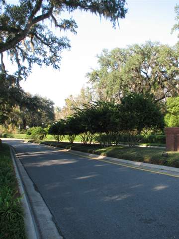 0 High Grove Road Tallahassee, FL 32309 - Photo 7 of 10 Gallery Image 7