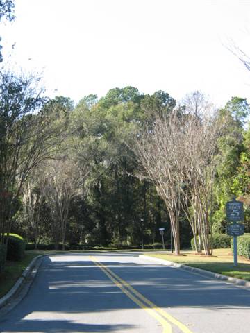 0 High Grove Road Tallahassee, FL 32309 - Photo 8 of 10 Gallery Image 8