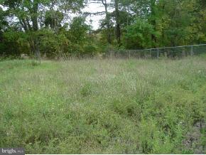 2673 Hunting Quarter Road Houston, DE 19954 - Photo 2 of 4 Gallery Image 2