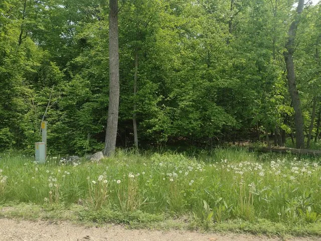 $53,000 | Lot 2-block Crystal Beach Road, Pelican Rapids, MN 56572