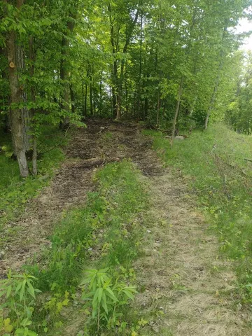 $53,000 | Lot 2-block Crystal Beach Road, Pelican Rapids, MN 56572