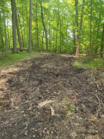 $53,000 | Lot 2-block Crystal Beach Road, Pelican Rapids, MN 56572