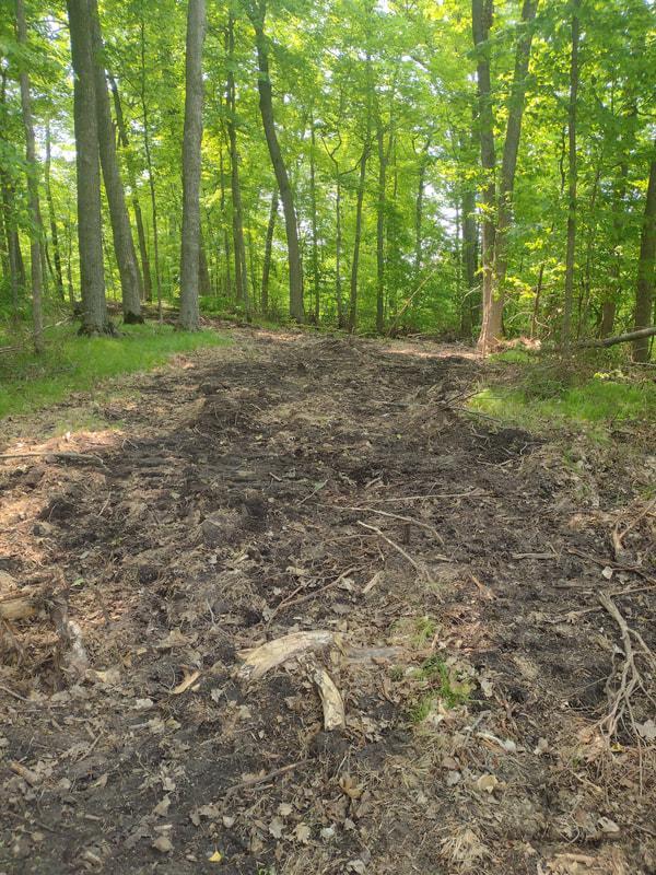 Lot 2-block Crystal Beach Road Pelican Rapids, MN 56572 - Photo 4 of 6