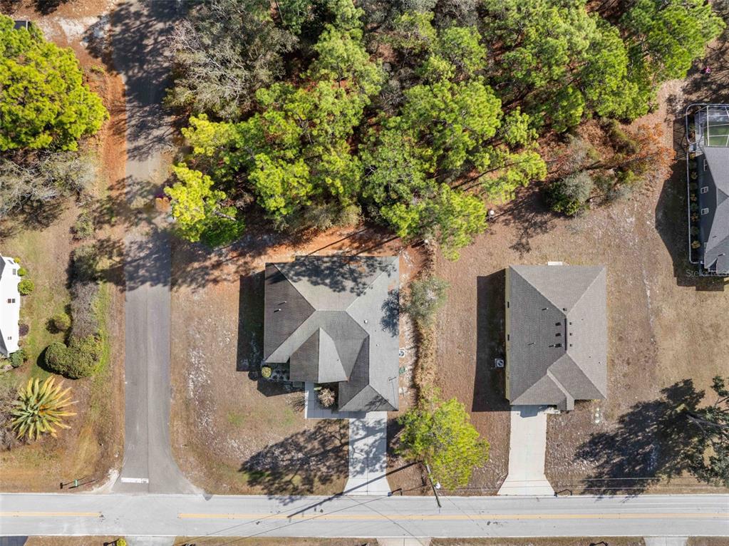8104 Nightingale Road Weeki Wachee, FL 34613 - Photo 41 of 45 a picture of a tree in front of a house